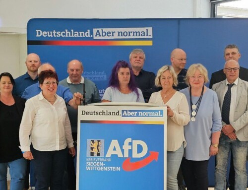 AfD gut aufgestellt