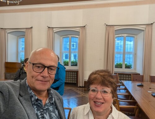 AfD Wahlaufstellungen in Siegen zugelassen